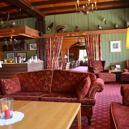 Fefor Hoifjellshotell & Hytter Ξενοδοχείο Vinstra