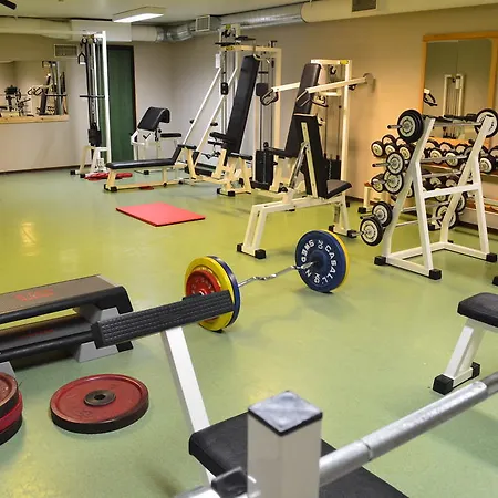 Fefor Hoifjellshotell & Hytter 3* Vinstra